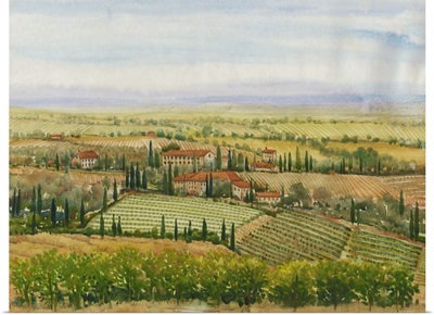 Wine Country View II