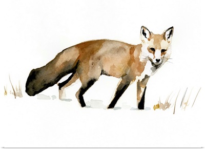 Winter Fox I