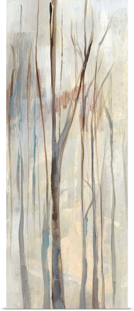 Neutral-toned landscape with tall birch trees.