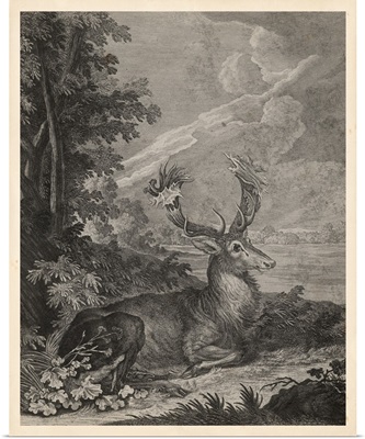 Woodland Deer III