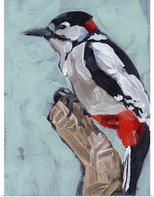 Woodpecker Paintstrokes I
