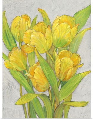 Yellow Tulips I