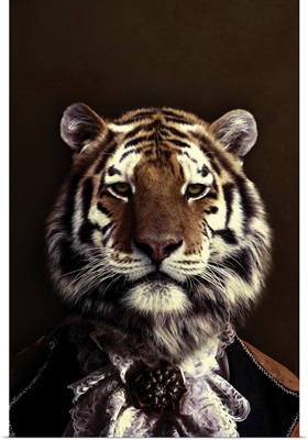 Classy Tiger 2