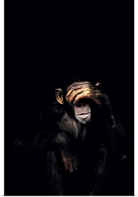 Dark Monkey See No Evil