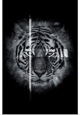 Dark Tiger 2