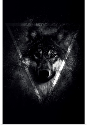 Dark Wolf 2