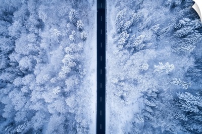 A Frosty Road