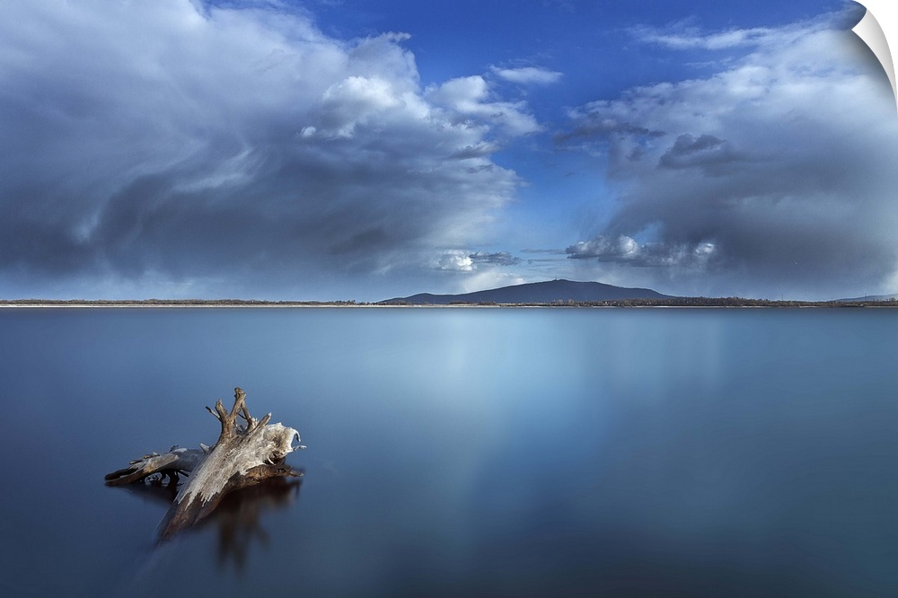 A piece of driftwood in the still waters of a Polish lake, with a cloudy sky above.
