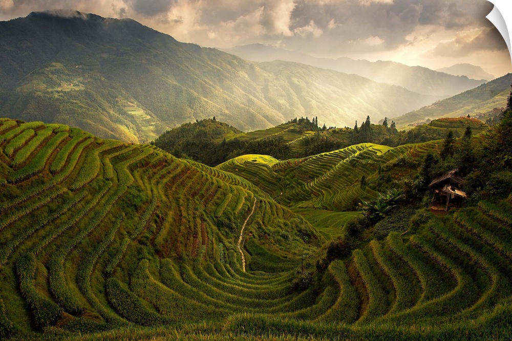 A scenic of china's countryside from the top of a rice terrace.
