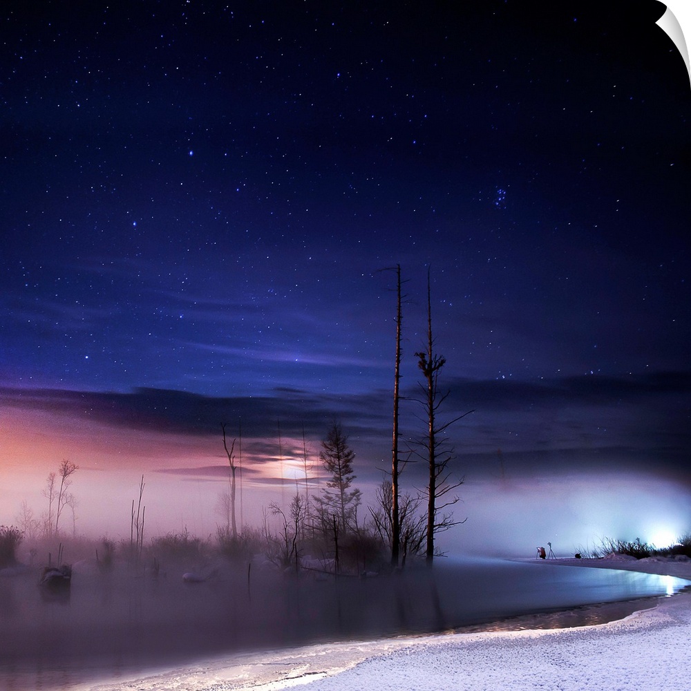 Night view of a wilderness winter landscape.