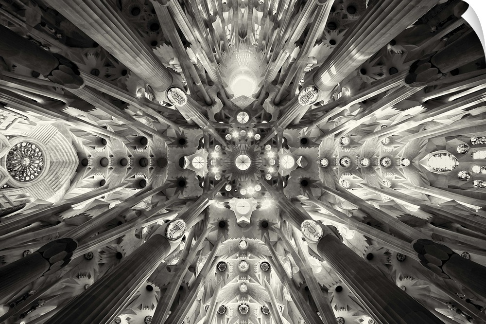 The intricate ceiling of La Sagrada Familia in Spain, resembling a forest of pillars and arches.