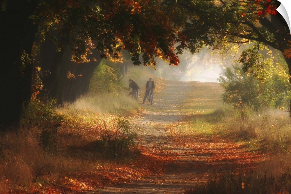 Two figures on a path through a forest covered with fallen leaves in Autumn.