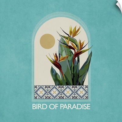 Bird Of Paradise