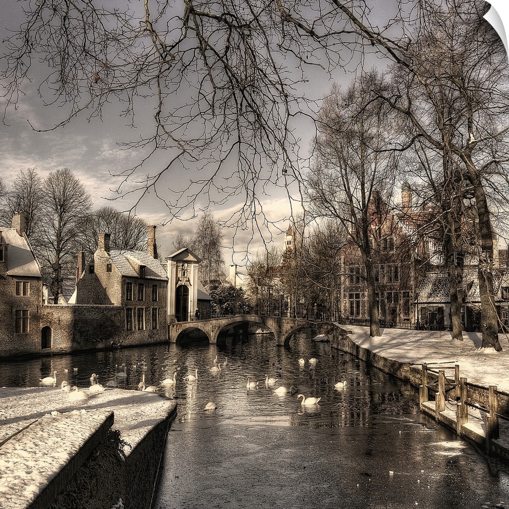 Canal with swans flowing through a snow covered Bruges, Belgium.