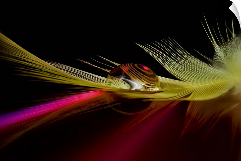 A macro image of a droplet of water resting on a feather, with a distorted reflection.