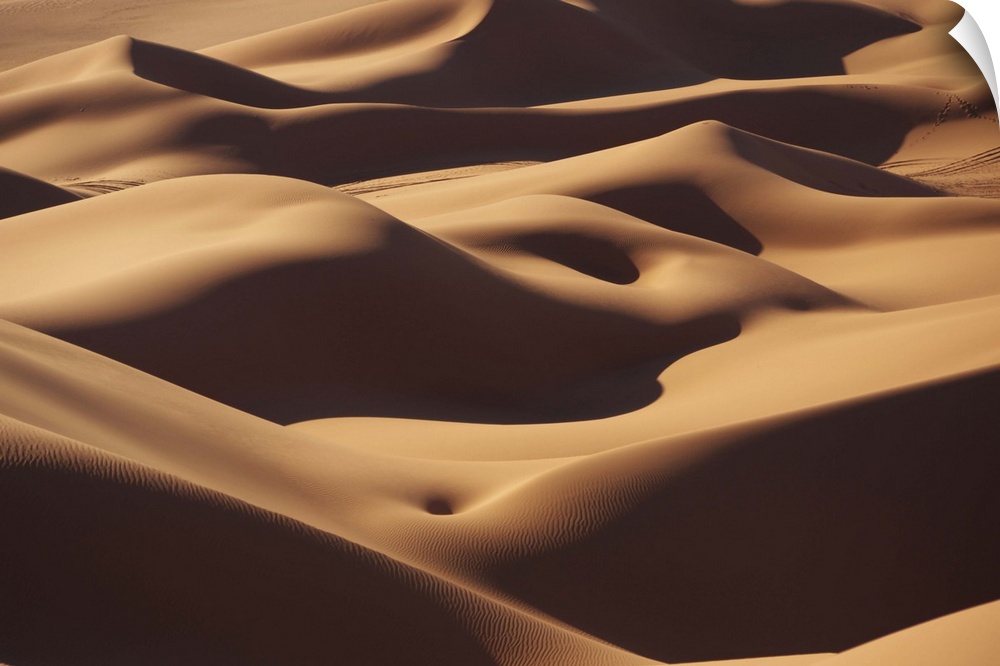 The rolling sand dunes of the Sahara desert appear smooth.