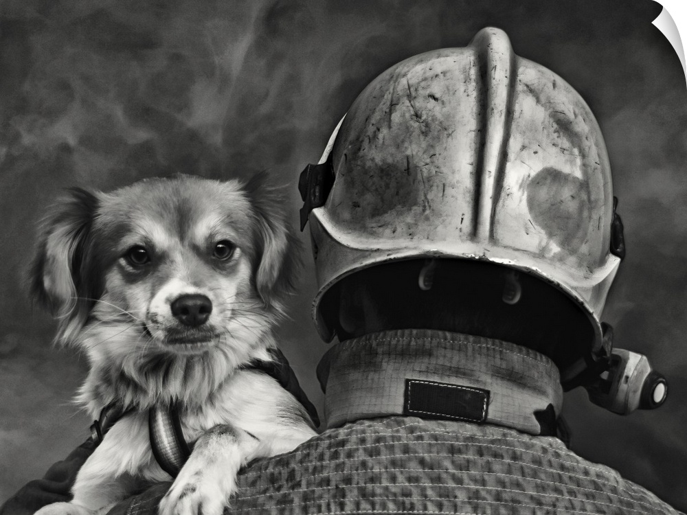 A firefighter carries a dog rescued from a burning building.
