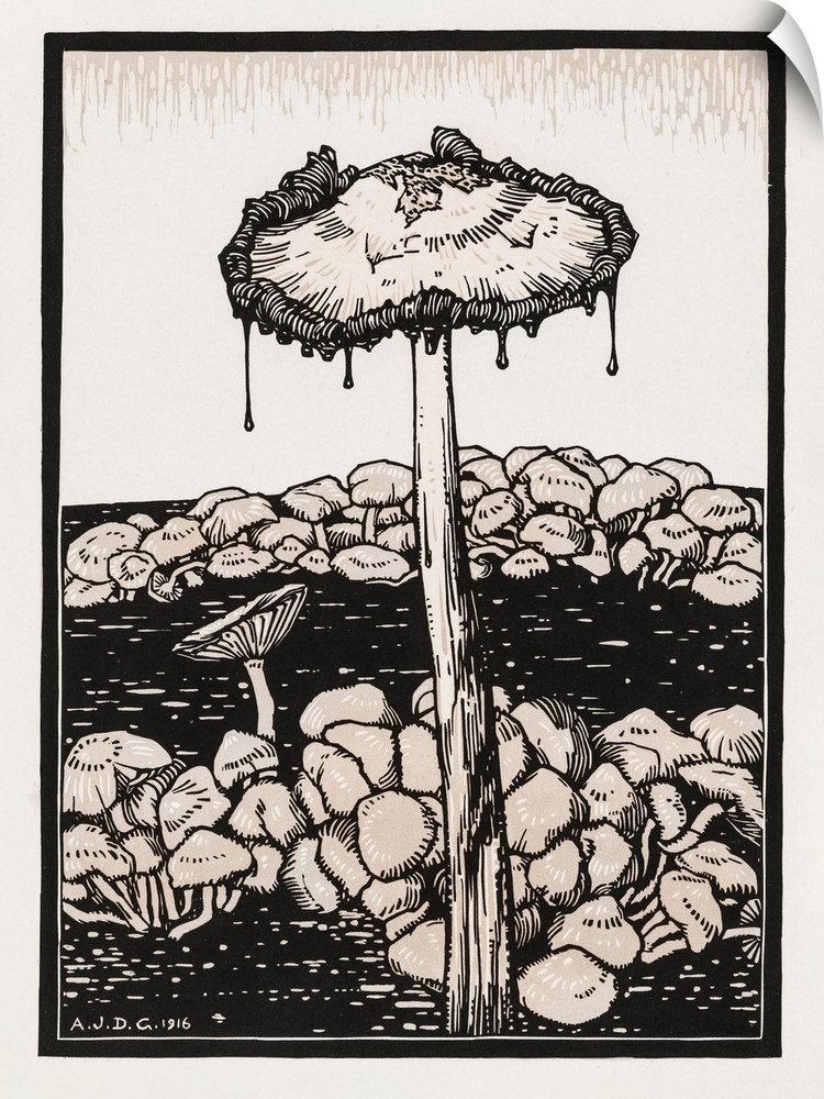Dripping mushroom (1916) by Julie de Graag (1877-1924). Original from The Rijksmuseum.