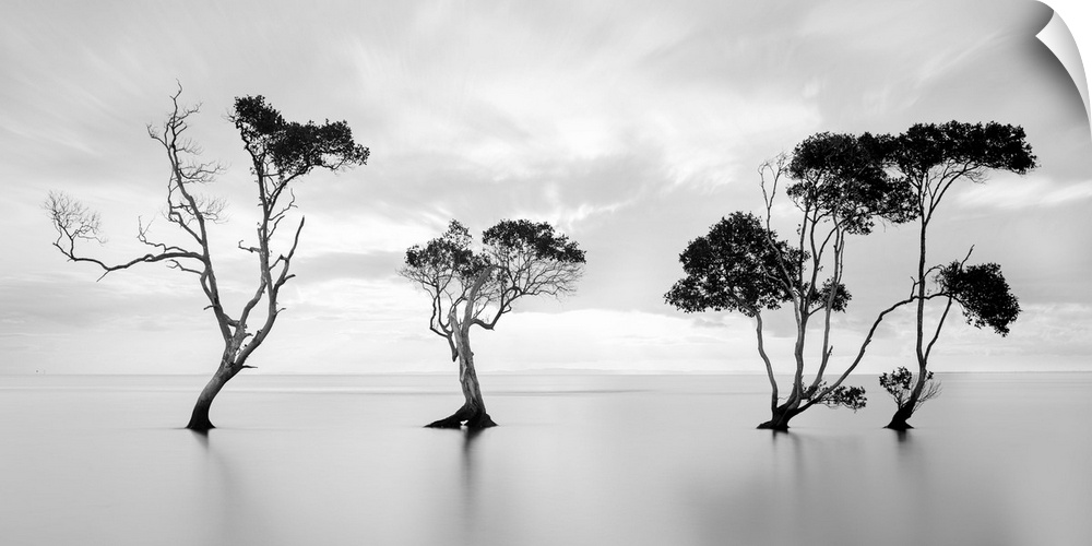 Trees standing sentinel in a flat still watery landscape.