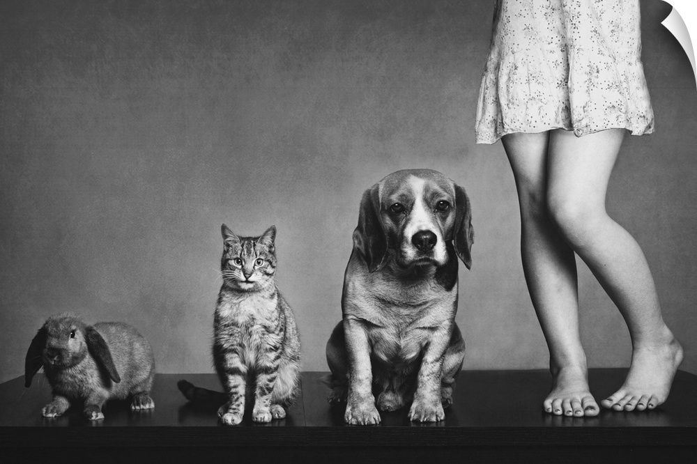 A "family portrait" including the legs of a young woman, a dog, a cat, and a rabbit.