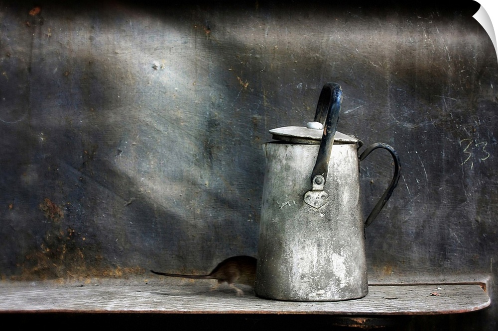 A mouse runs quickly behind an old metal tea kettle to hide.