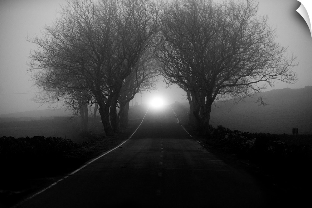 A countryside road narrowing in the distance through fog shrouded trees.