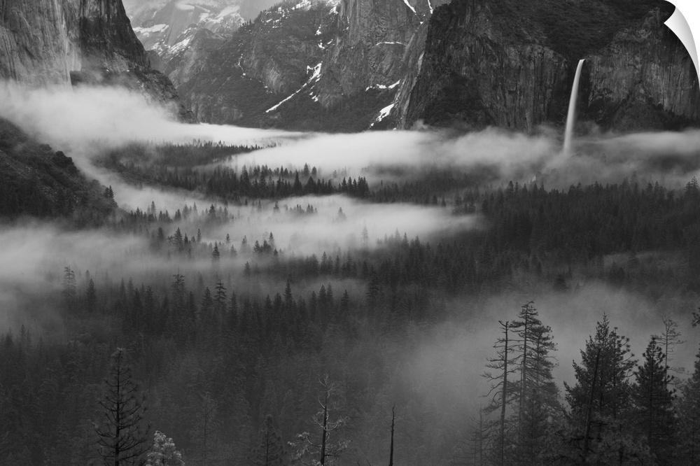 The pine forest of the Yosemite Valley covered in a dense fog, with Bridalveil Falls on the right.