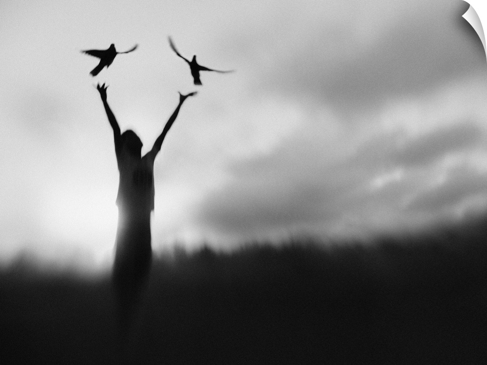 A silhouetted figure releasing two pigeons into the air, Java, Indonesia.