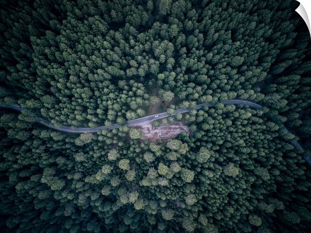 From Above III