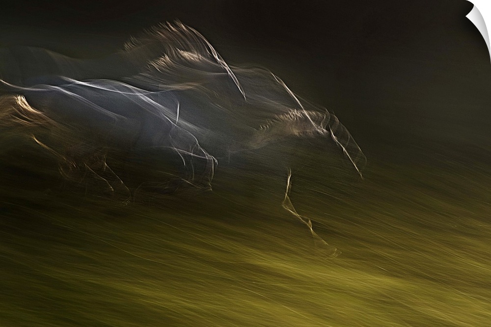 Blurred motion image of galloping horses in a field, creating an abstract image.