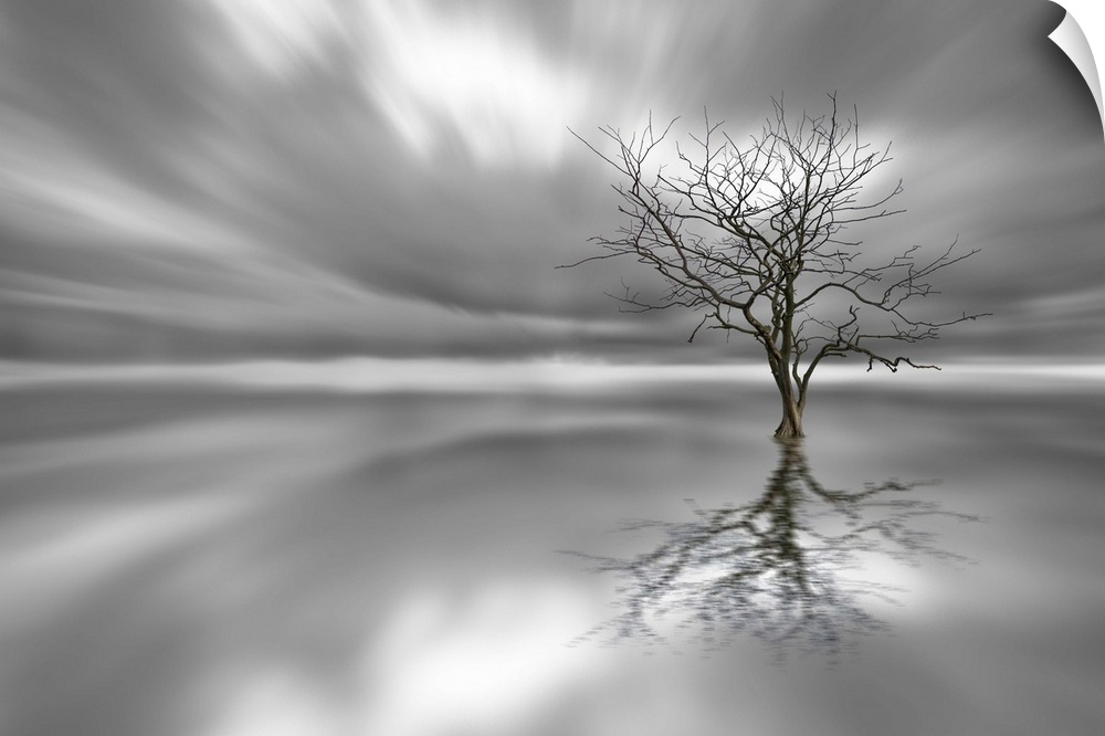 A lone tree stands strong in a still watery landscape casting mirror-like reflection.