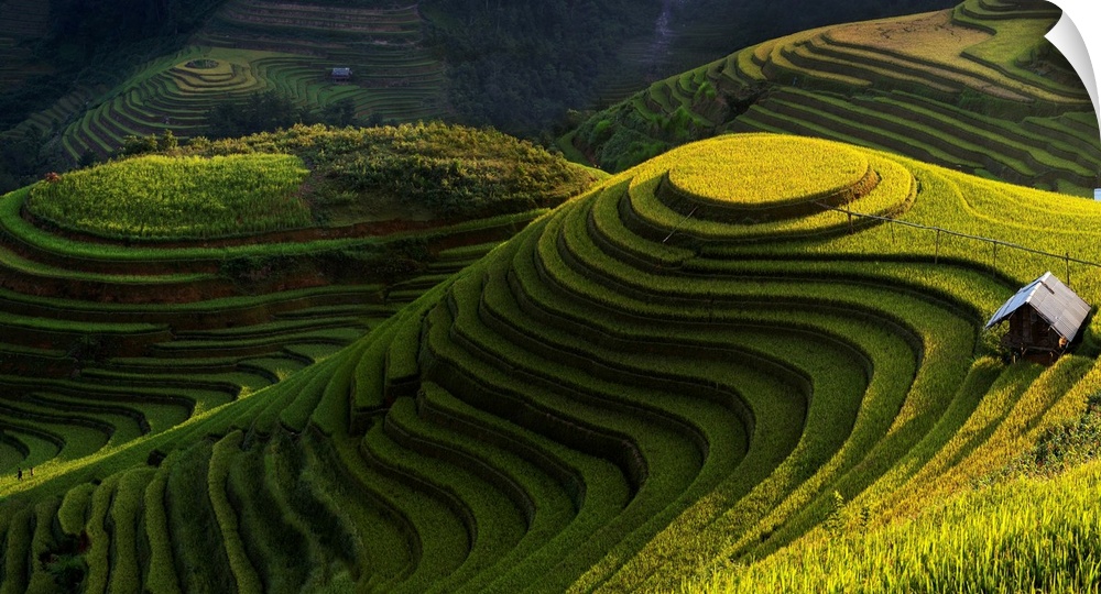 A view of a green farming valley of Vietnam.