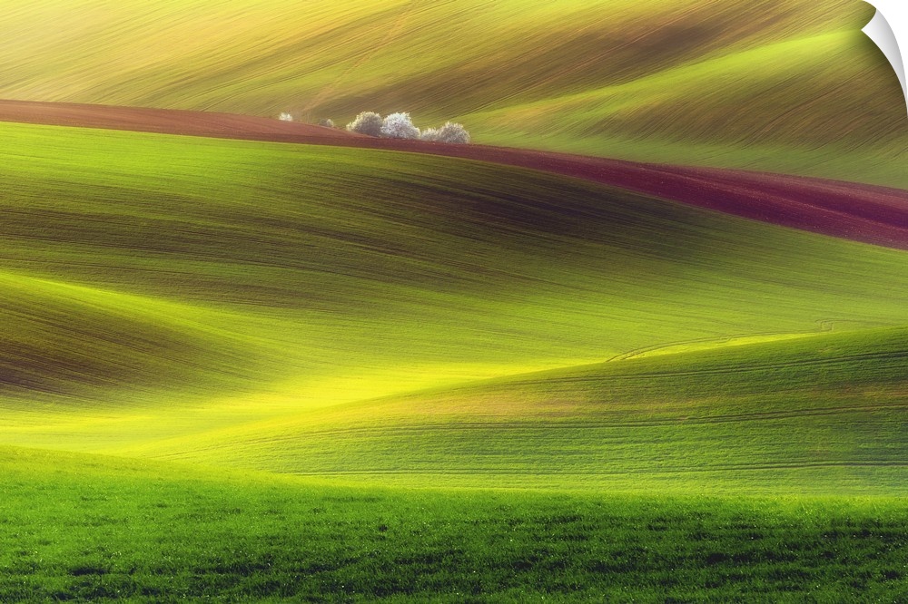 A stripe of brown cuts across a landscape of green rolling hills in Moravia, Czech Republic.
