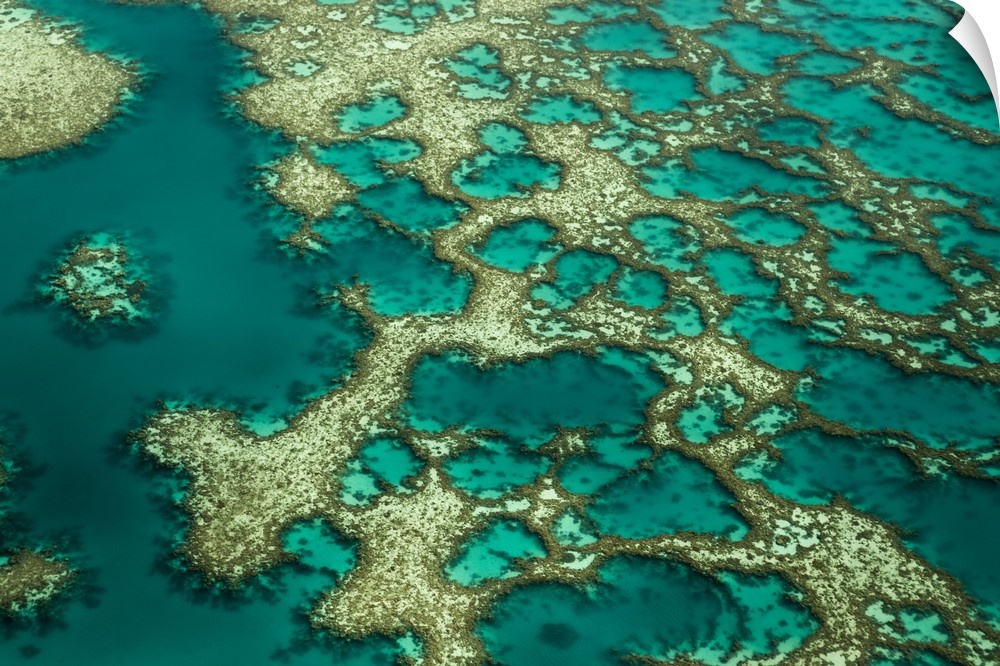 An aerial view over a turquoise lagoon.