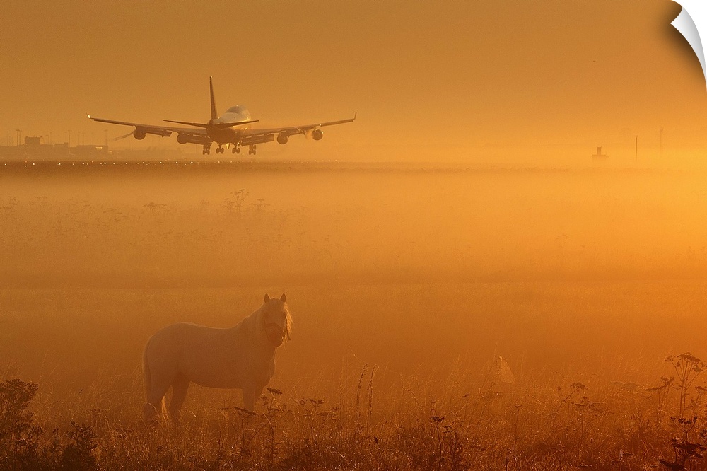 A horse stands in a foggy field while an airplane takes off in the background.