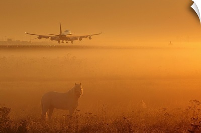 Horses and Planes