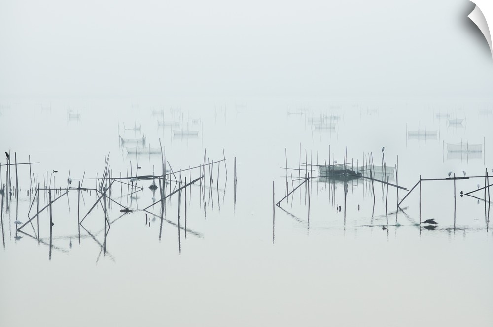 Birds perching on thin posts and netting in a foggy marsh.