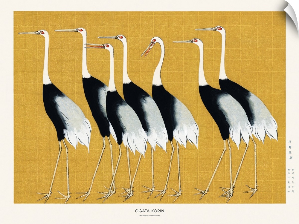 A traditional portrait of a flock of beautiful Japanese red crown crane by Ogata Korin (1658-1716).