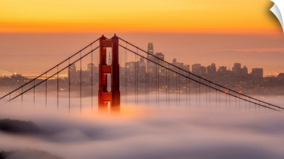 Karl, The San Francisco Fog