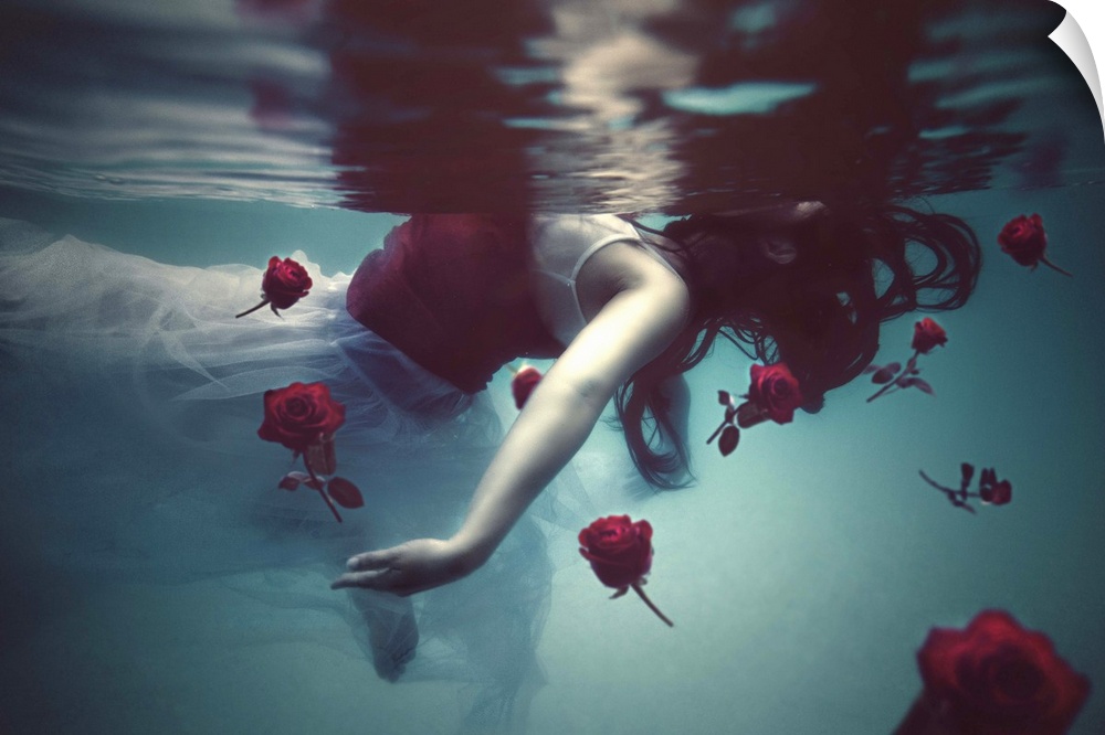 A conceptual photograph of a woman in a white dress floating underwater with red roses.