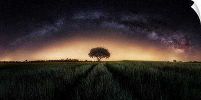 Milky Way Over Lonely Tree