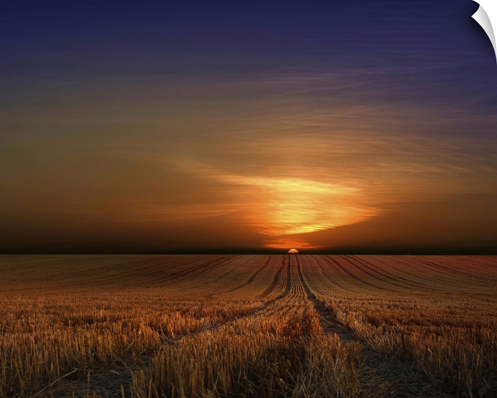 The rising sun casts a bright glow on the clouds over a wheat field.