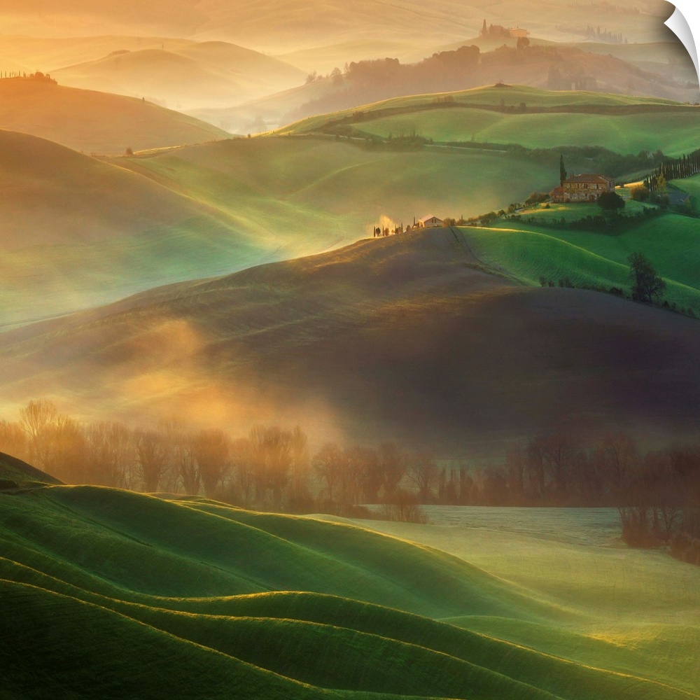 A Tuscan countryside landscape bathed in early morning light and low lying fog.