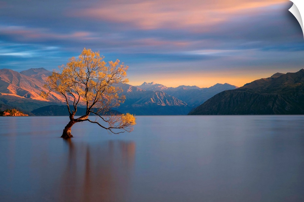 Landscape photograph of calm water and mountains with a yellow leafed tree at sunrise in Wanaka, New Zealand