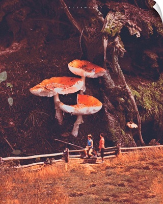 Mushrooms #256