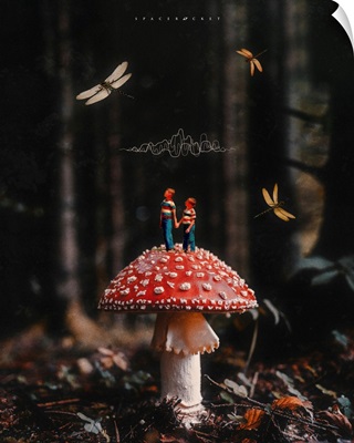 Mushrooms #355