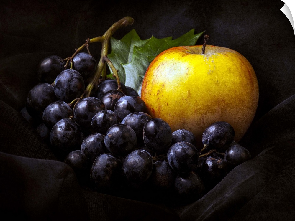Fine art still life photo of bunch of dark red grapes and a golden apple.