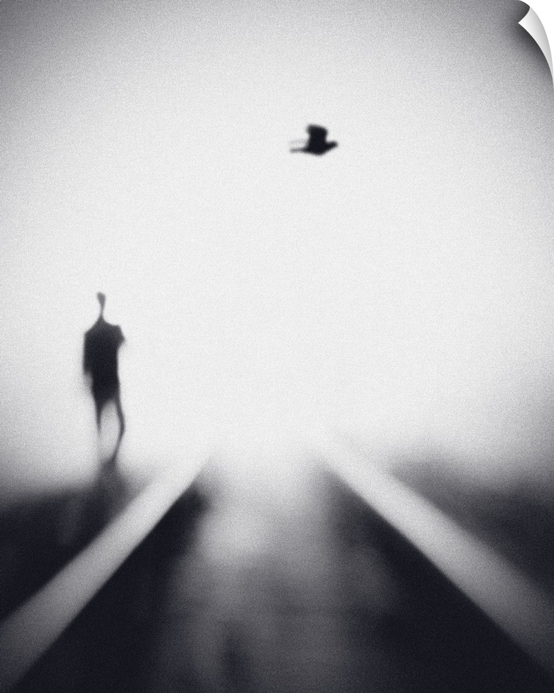 Soft focus image of a man walking near rails with a bird overhead.
