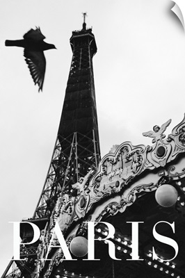 Paris Dove