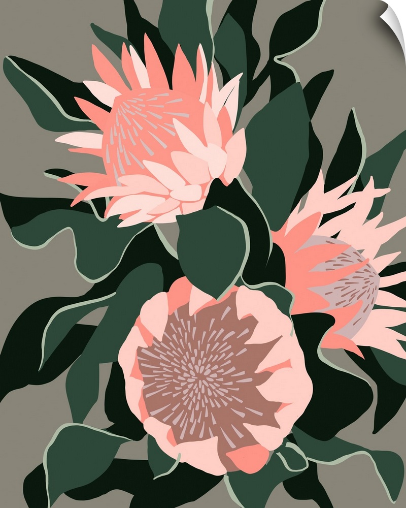 Pink Protea